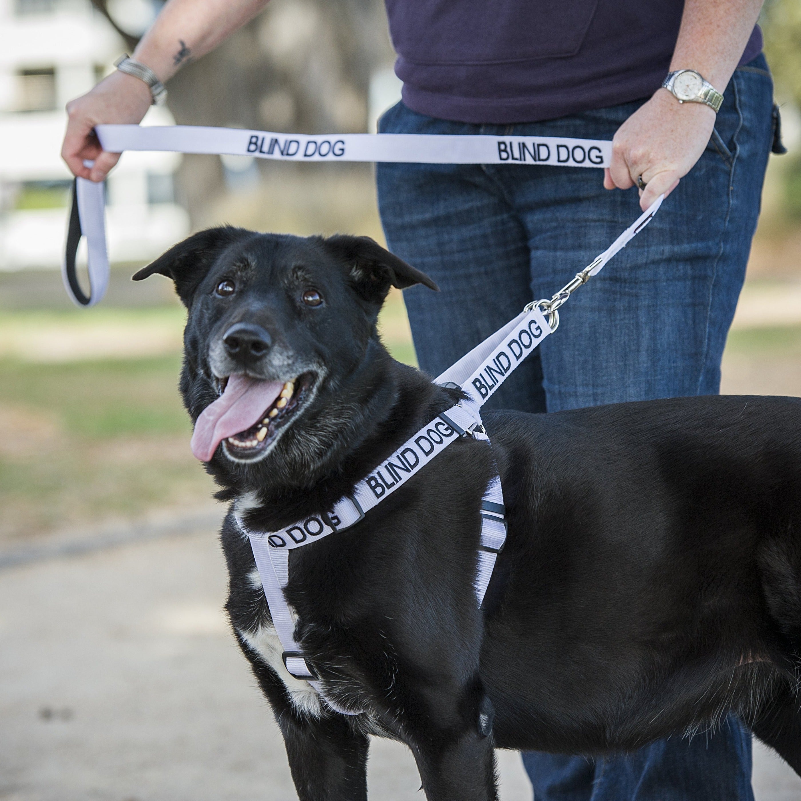 Dexil Friendly Dog Collars BLIND DOG Standard 120cm (4ft) Lead
