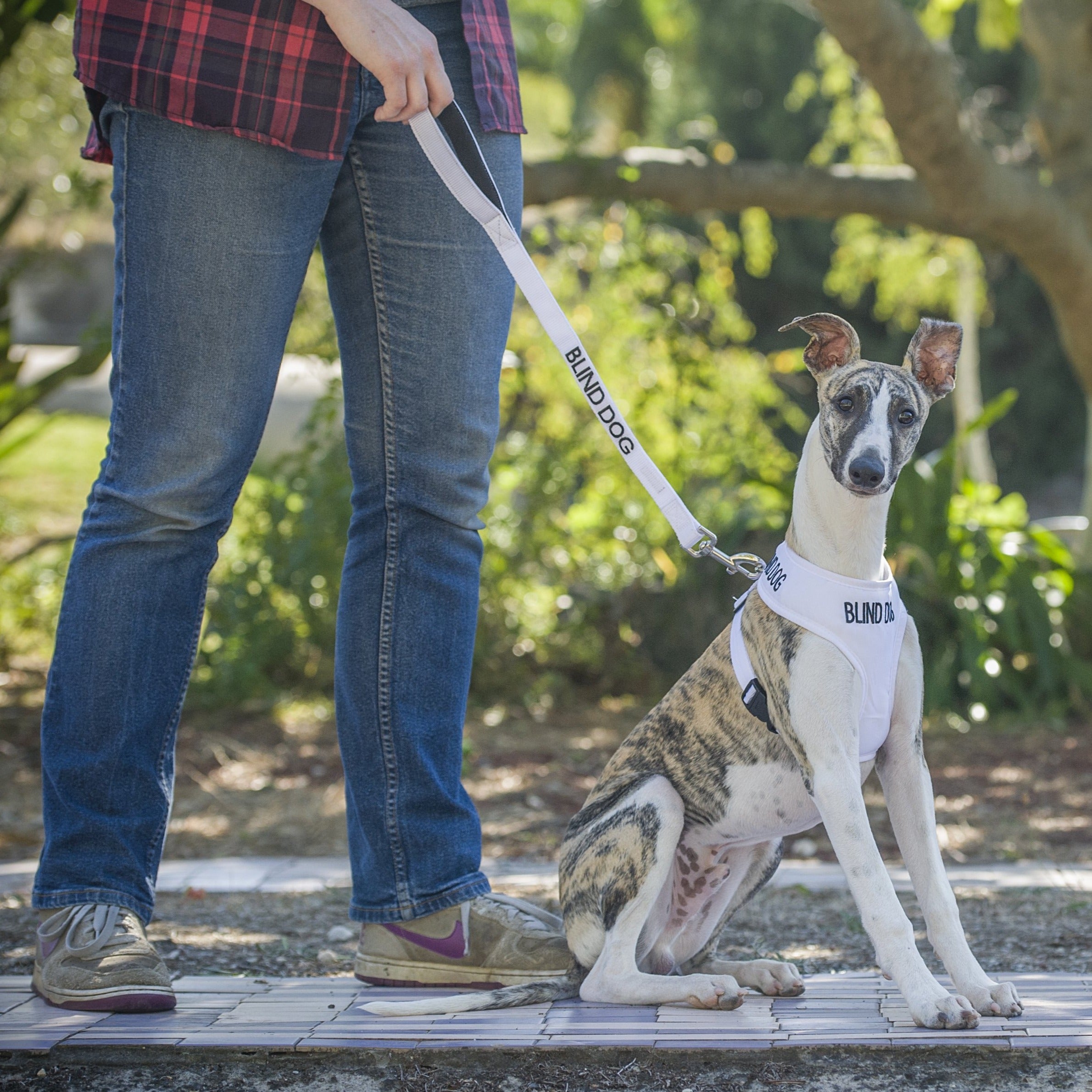 Dexil Friendly Dog Collars BLIND DOG Medium Vest Harness