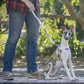 Dexil Friendly Dog Collars BLIND DOG Short 60cm (2ft) Lead