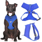 Dexil Blue Harness