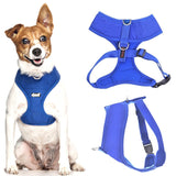 Dexil Blue Harness
