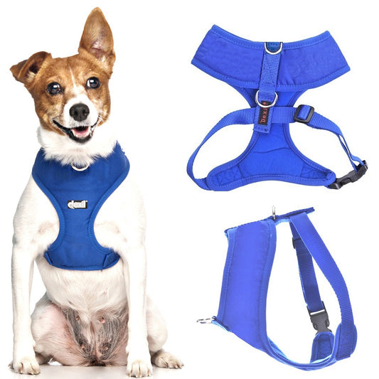 ROYAL BLUE - Small Vest Harness
