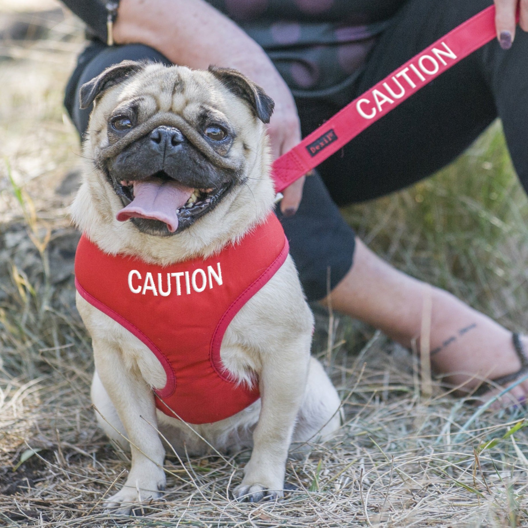 Dexil Friendly Dog Collars Red CAUTION Small Vest Harness