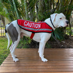 Dexil Friendly Dog Collars Red CAUTION L/XL M/L Reflective Dog Coat