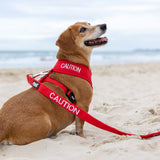 Dexil Friendly Dog Collars Red CAUTION Small Vest Harness