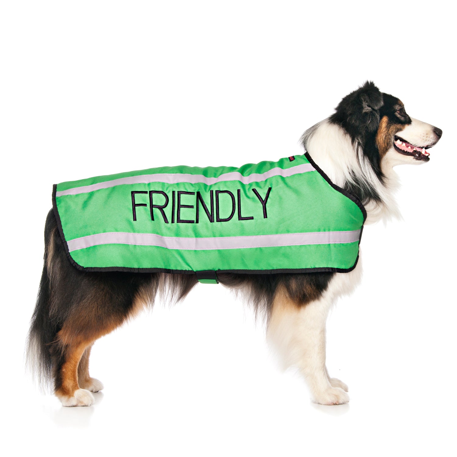 Dexil Friendly Dog Collars Green FRIENDLY Large Reflective Coat