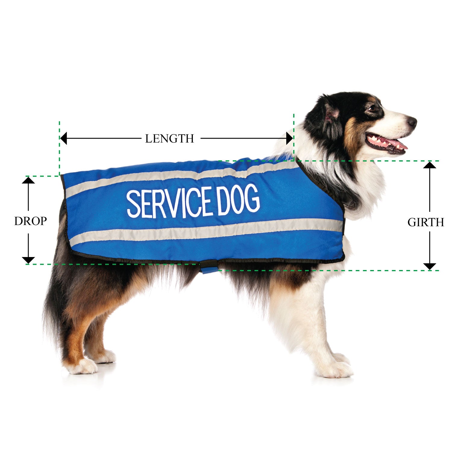 SERVICE DOG - Large Coat