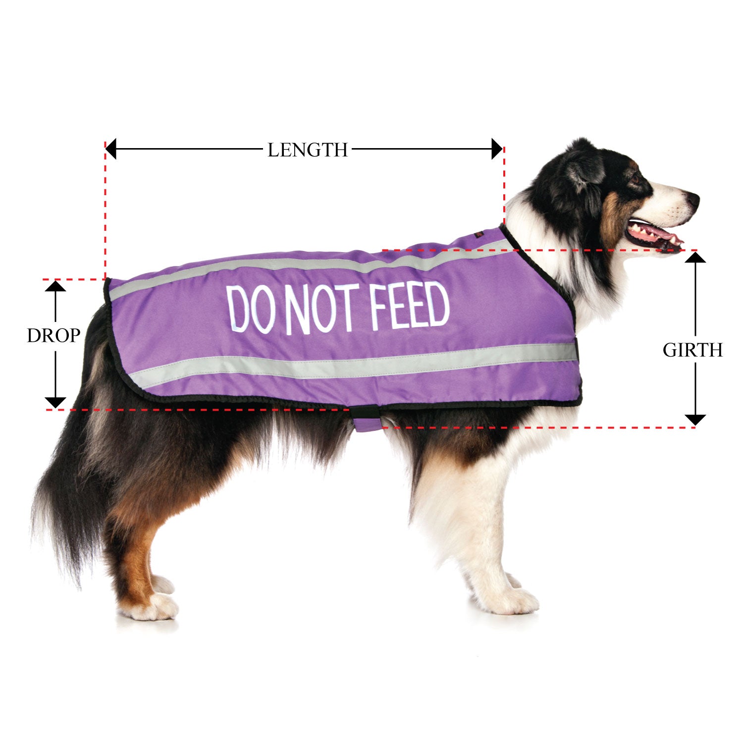 DO NOT FEED - Large Coat