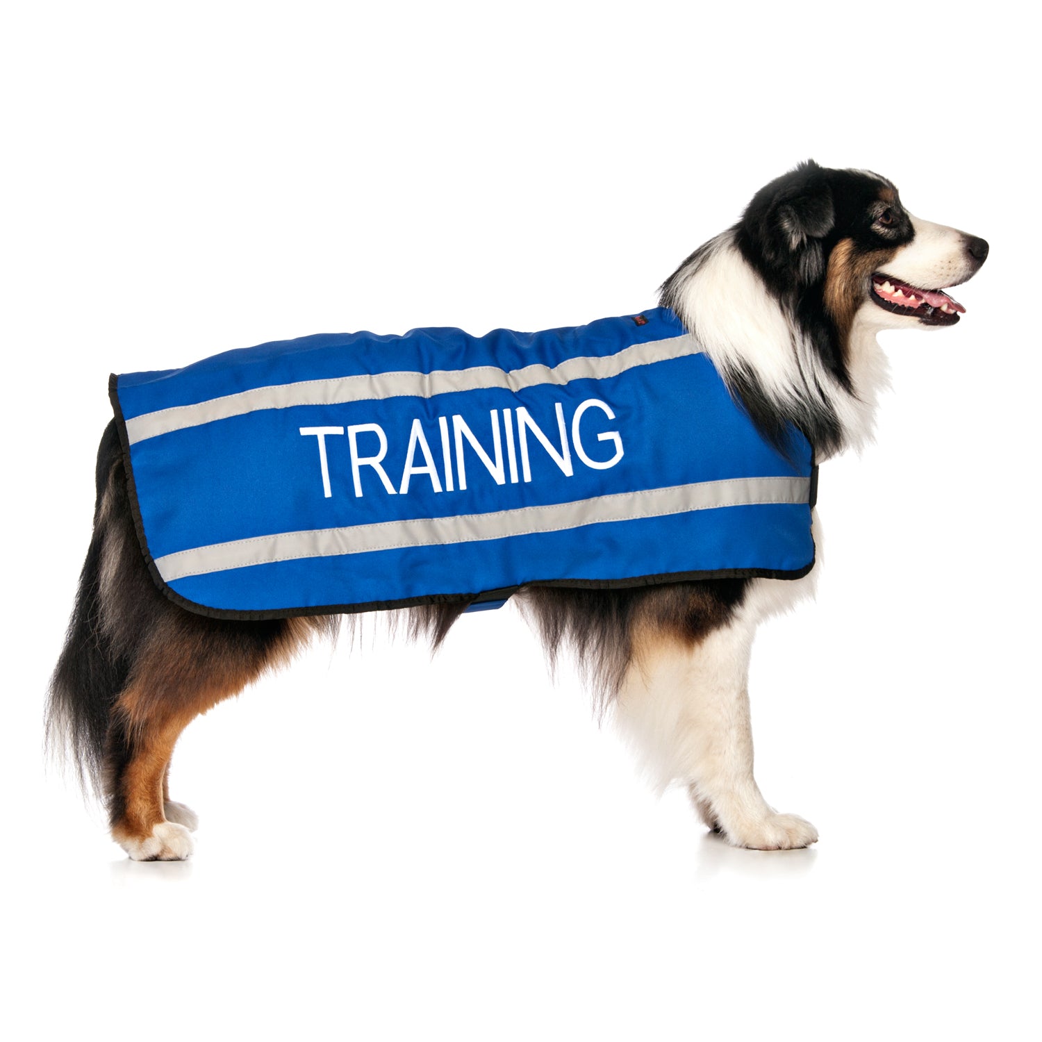 Dexil Friendly Dog Collars Blue TRAINING L/XL Reflective Dog Coat