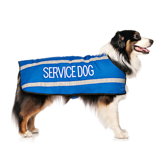 Dexil Friendly Dog Collars SERVICE DOG Large Reflective Coat