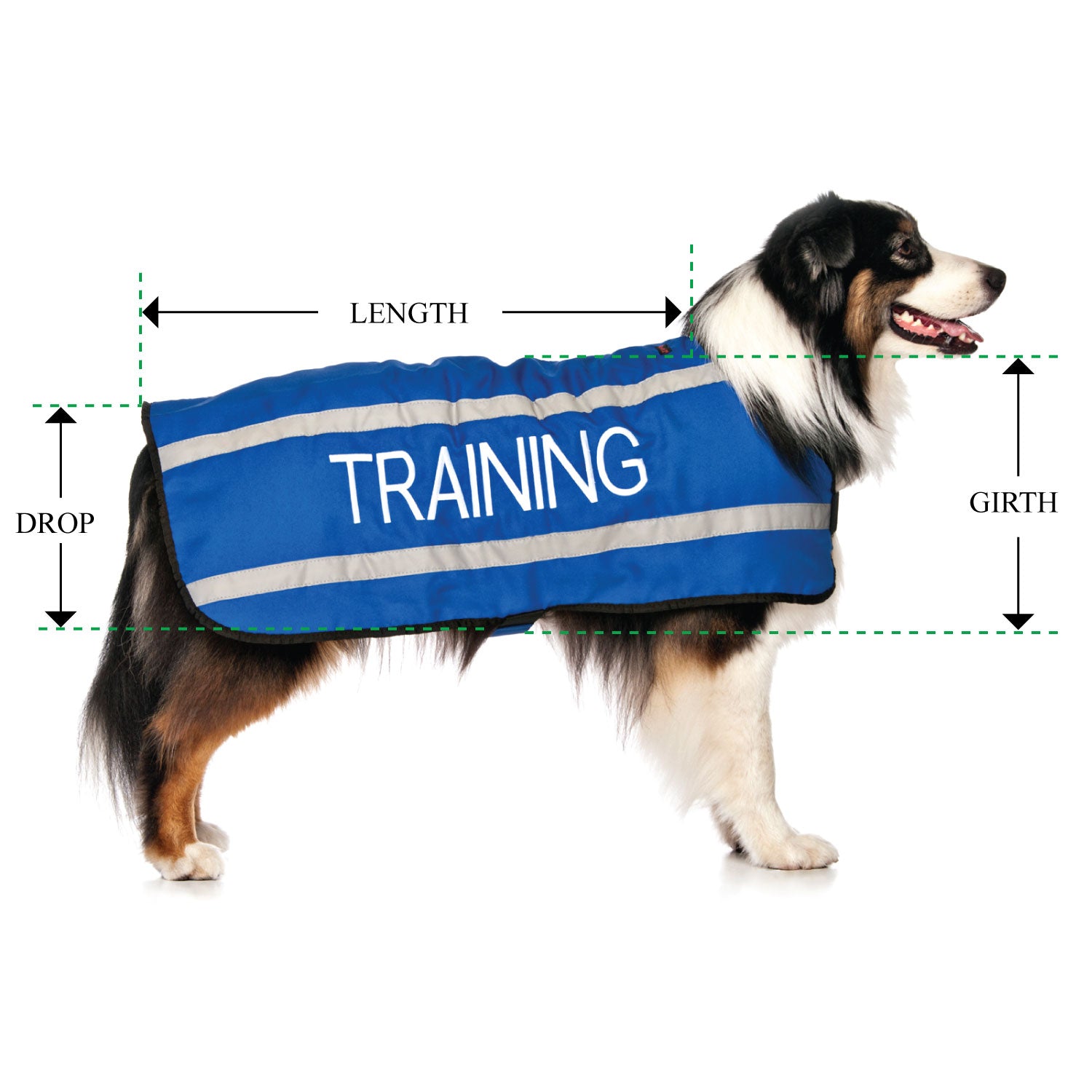 TRAINING - Large Coat