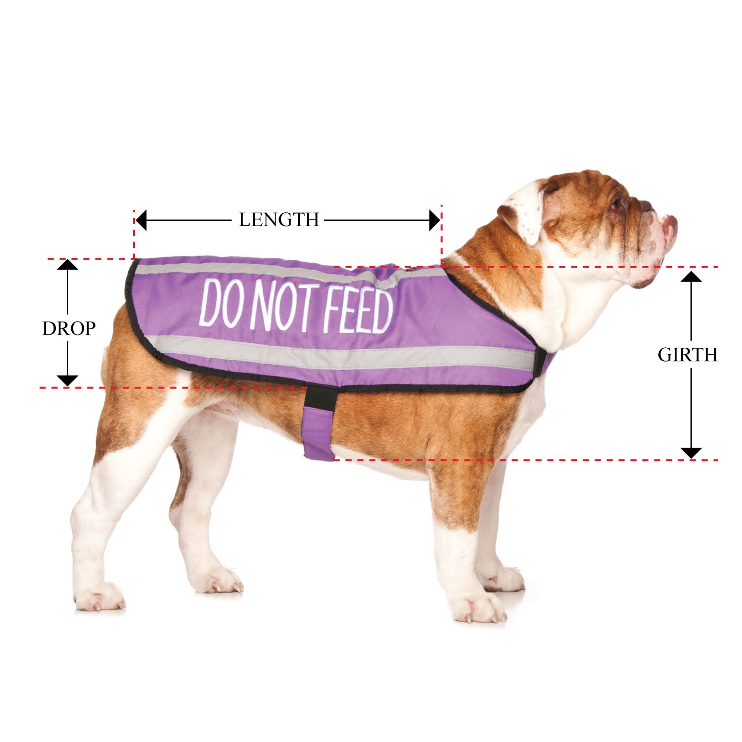 DO NOT FEED - Medium Coat