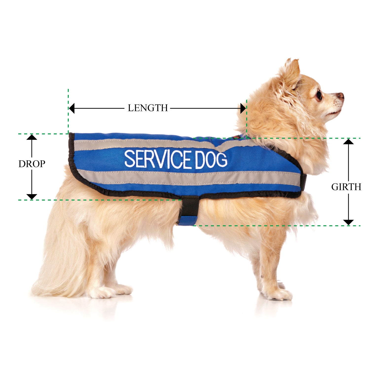 SERVICE DOG - Small Coat