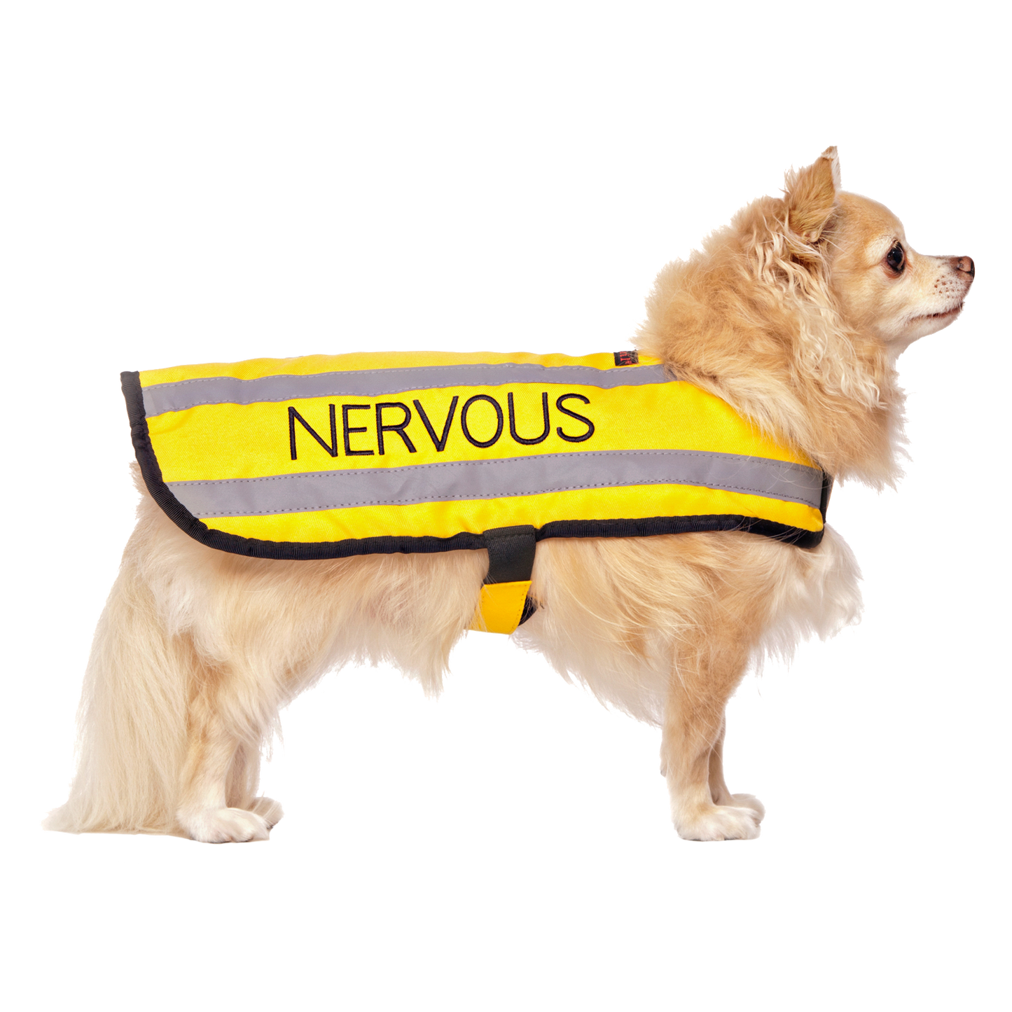 Dexil Friendly Dog Collars yellow NERVOUS Small Reflective Coat 