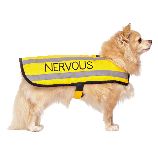 BLIND DOG Small Coat Friendly Dog Collars