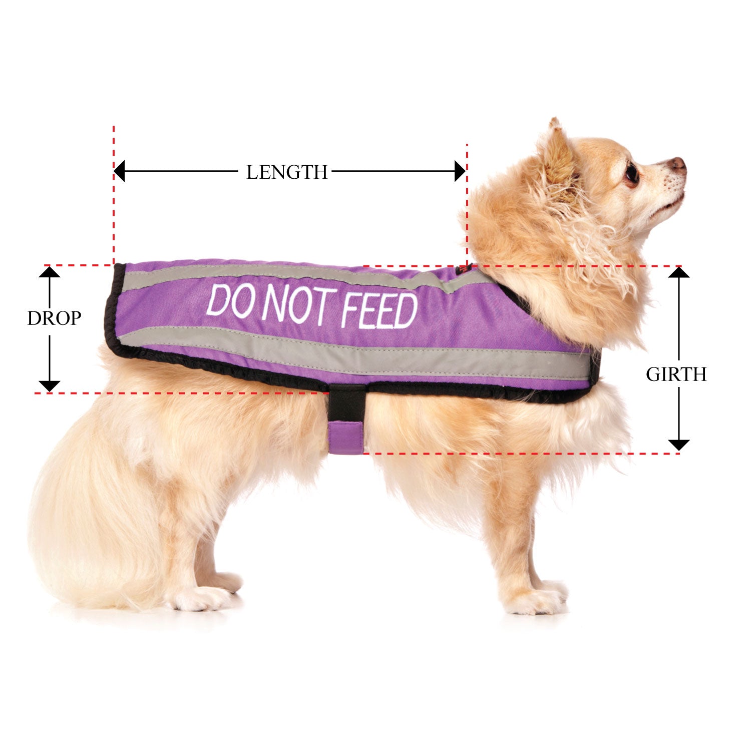 DO NOT FEED - Small Coat