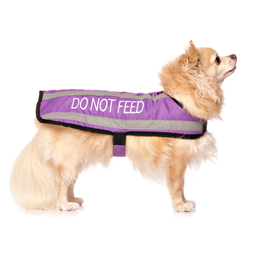 Dexil Friendly Dog Collars DO NOT FEED Small Reflective Coat