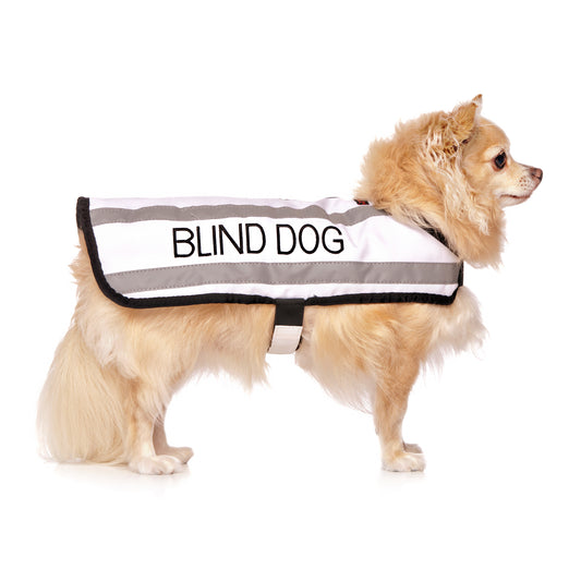 Dexil Friendly Dog Collars BLIND DOG Small Reflective Dog Coat