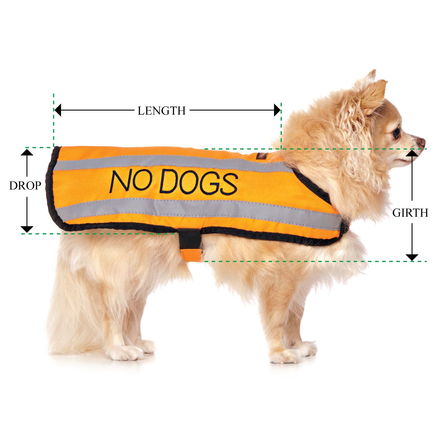 NO DOGS - Small Coat