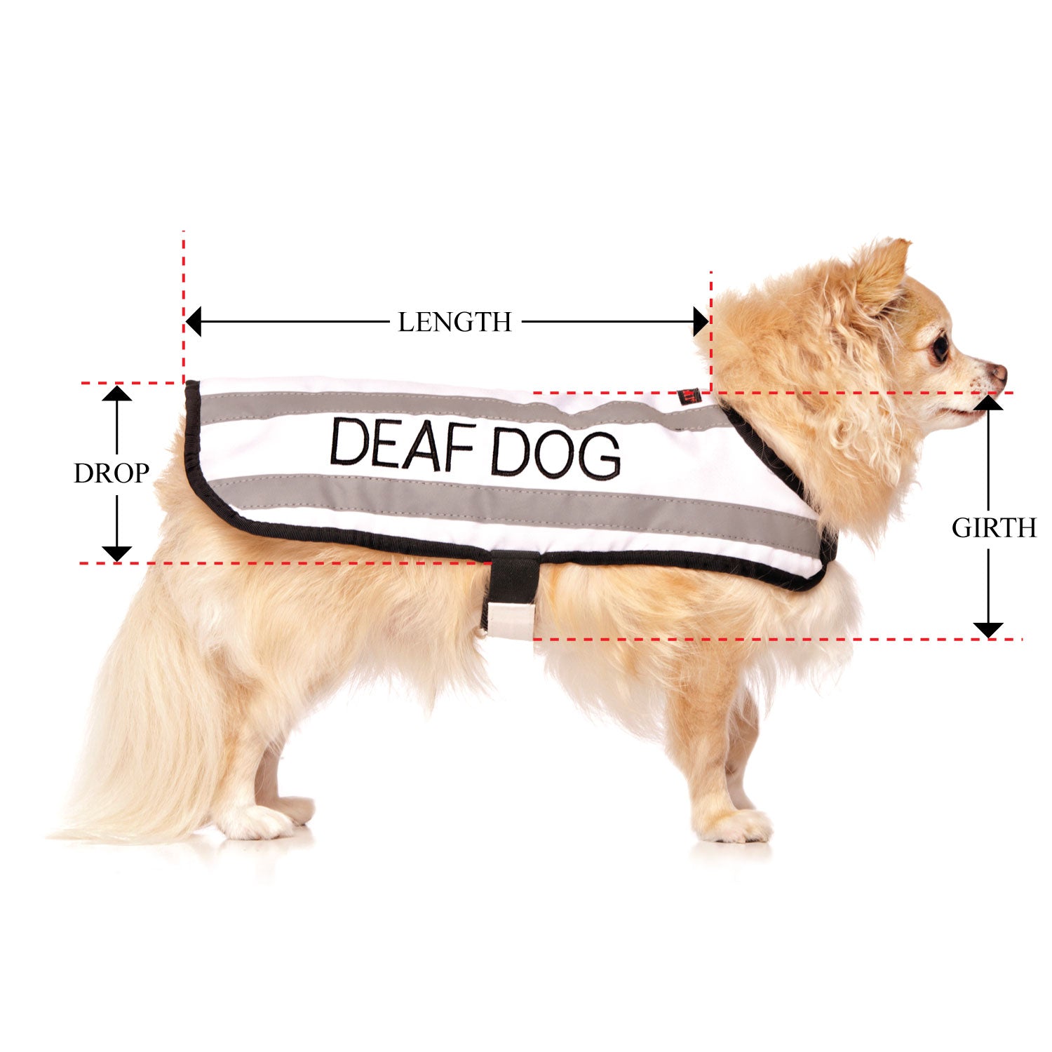 DEAF DOG - Small Coat