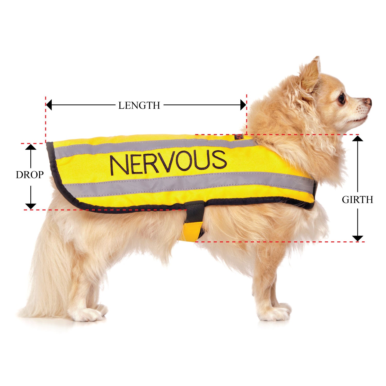 Dexil Friendly Dog Collars yellow NERVOUS Small Reflective Coat 