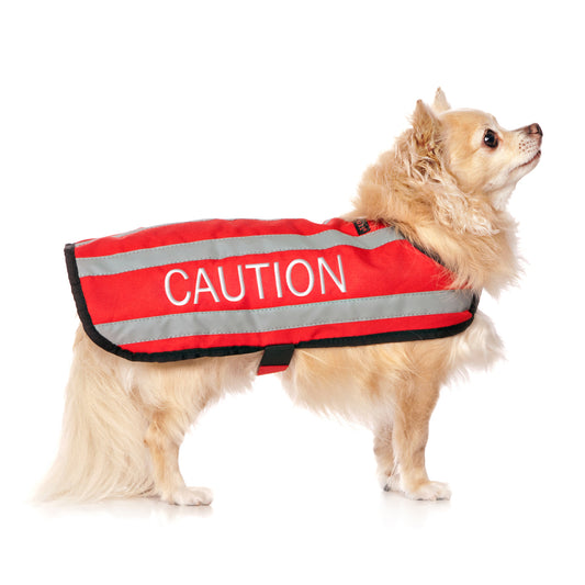 BLIND DOG Small Coat Friendly Dog Collars