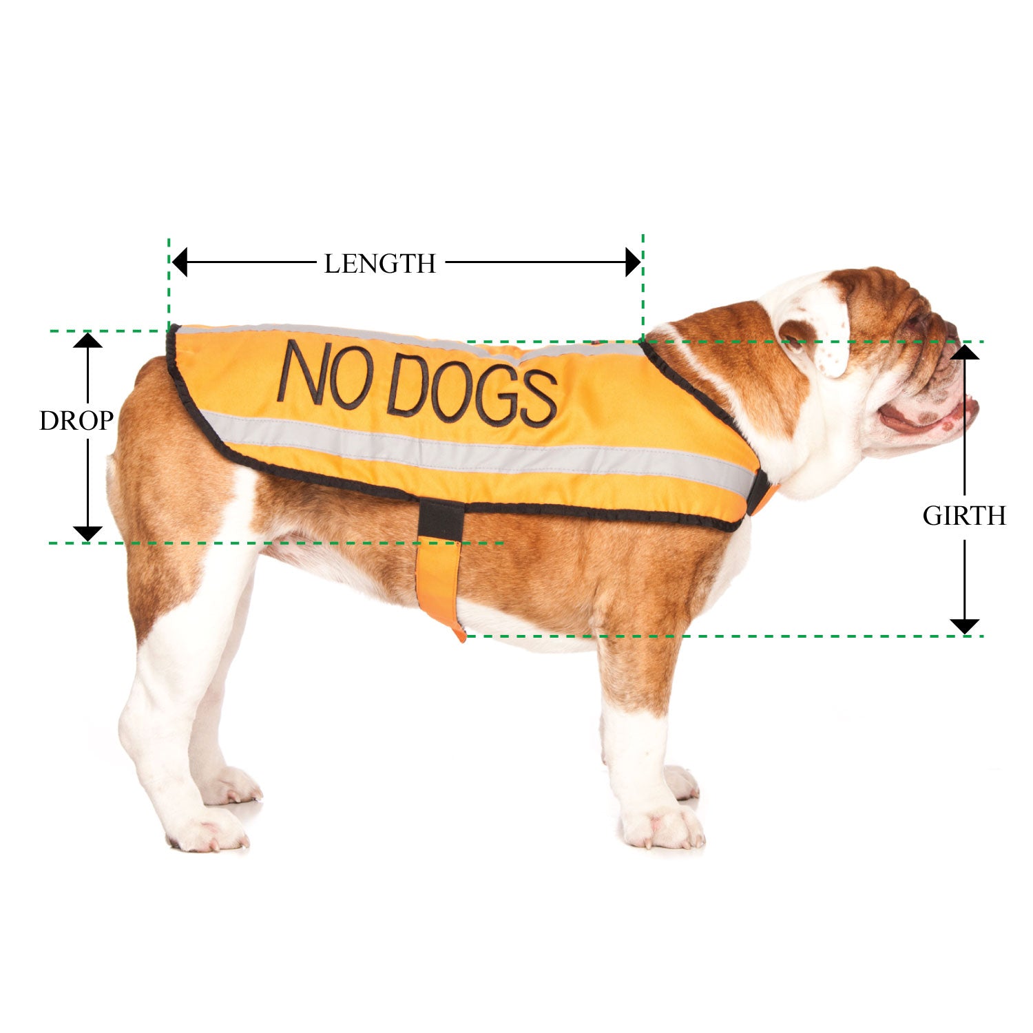 NO DOGS - Medium Coat