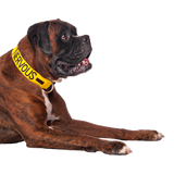 Friendly Dog Collars yellow NERVOUS Clip Collar