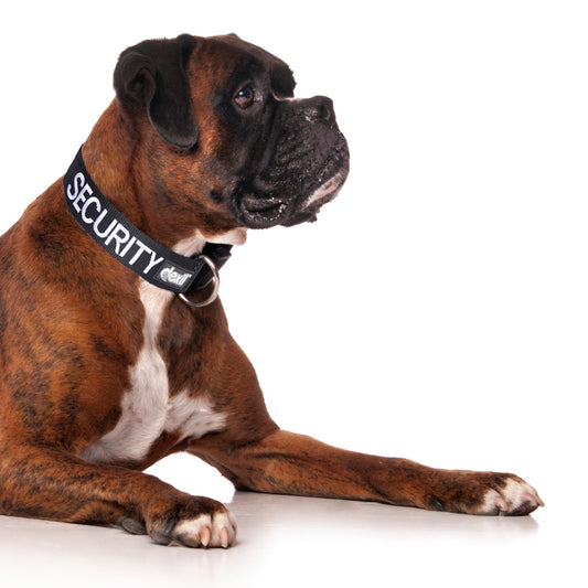 Dexil Friendly Dog Collars SECURITY L/XL Clip Collar