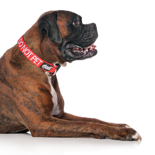 Dexil Friendly Dog Collars Red DO NOT PET L/XL Clip Collar
