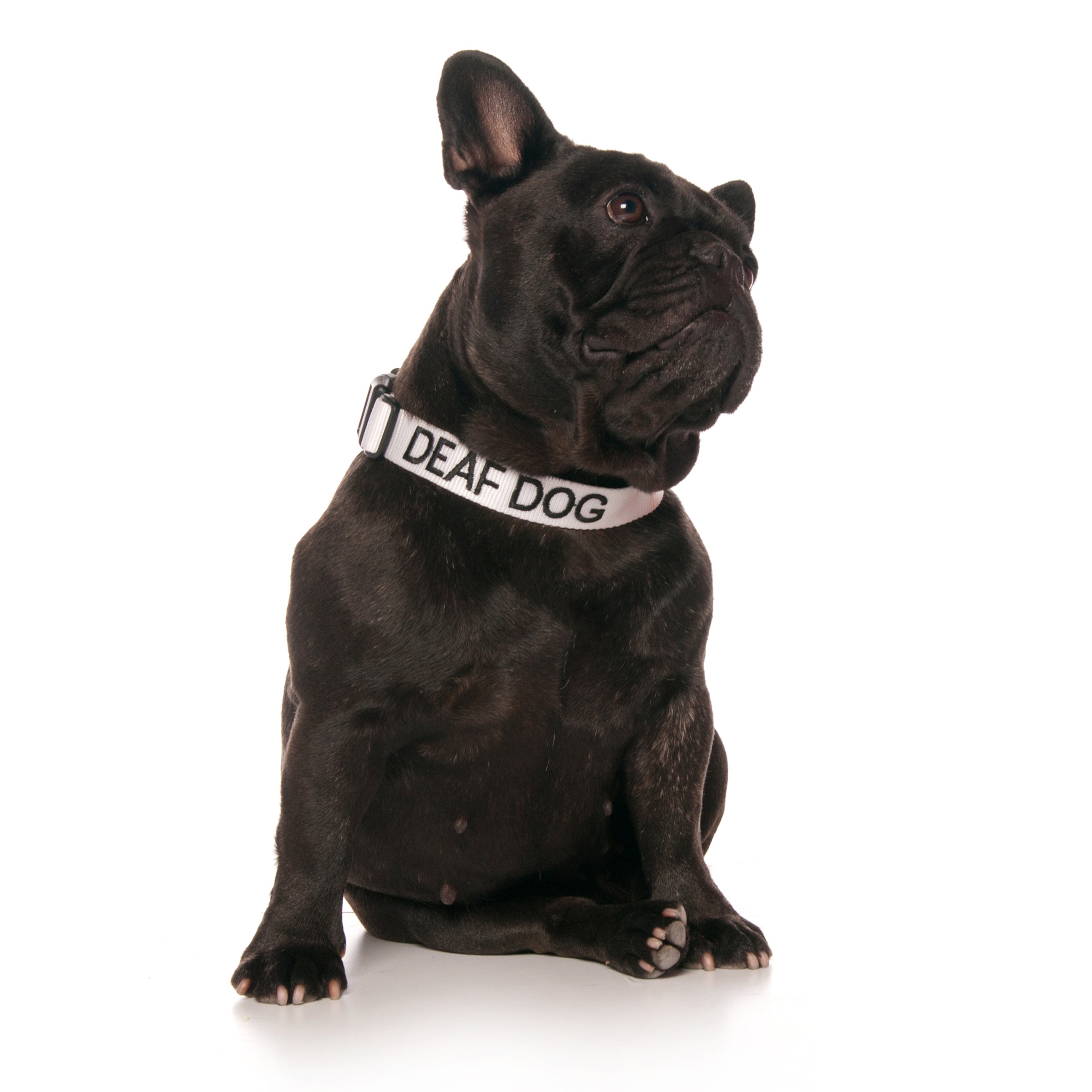 Dexil Friendly Dog Collars DEAF DOG S/M Clip Collar