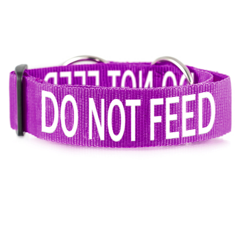 DO NOT FEED Friendly Dog Collars