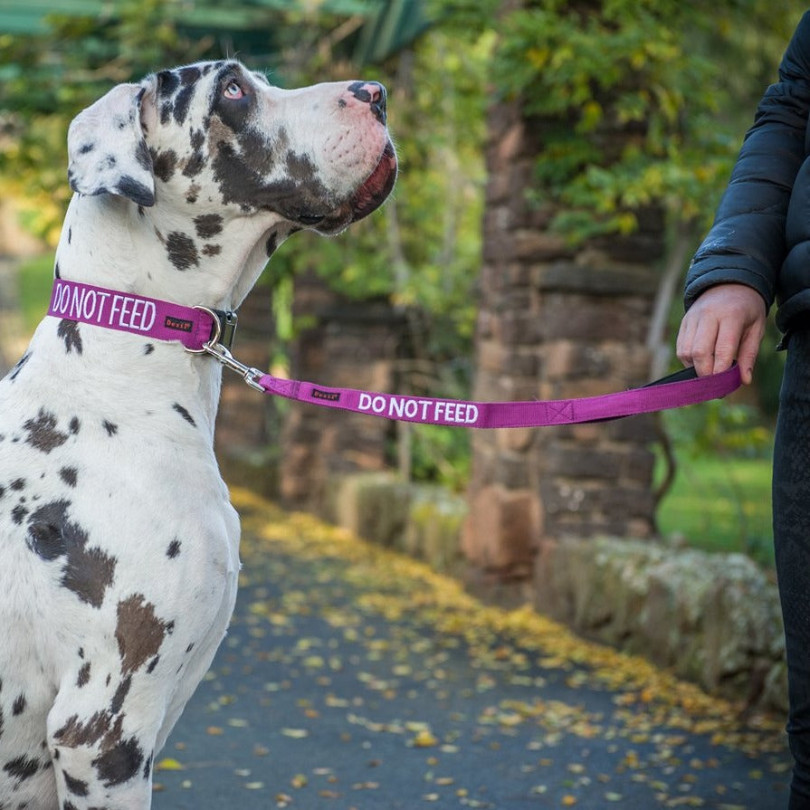 Dexil Friendly Dog Collars DO NOT FEED Short 60cm (2ft) Lead