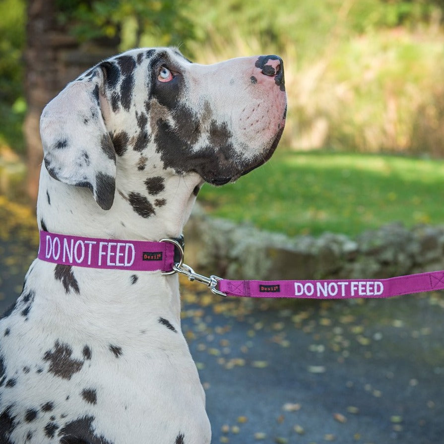 Dexil Friendly Dog Collars DO NOT FEED L/XL Clip Collar