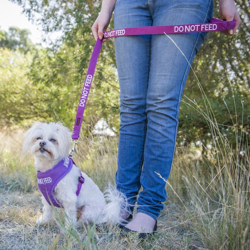 Dexil Friendly Dog Collars DO NOT FEED Standard 120cm (4ft) Lead