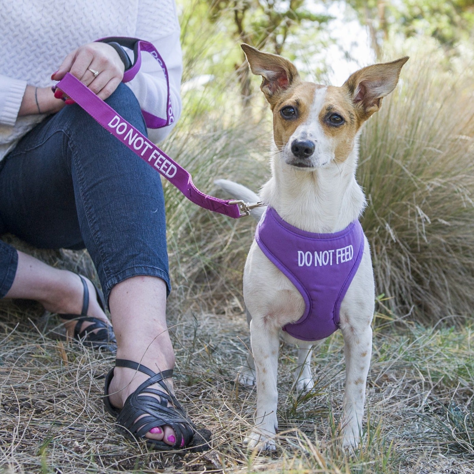 Dexil Friendly Dog Collars DO NOT FEED Medium Vest Harness