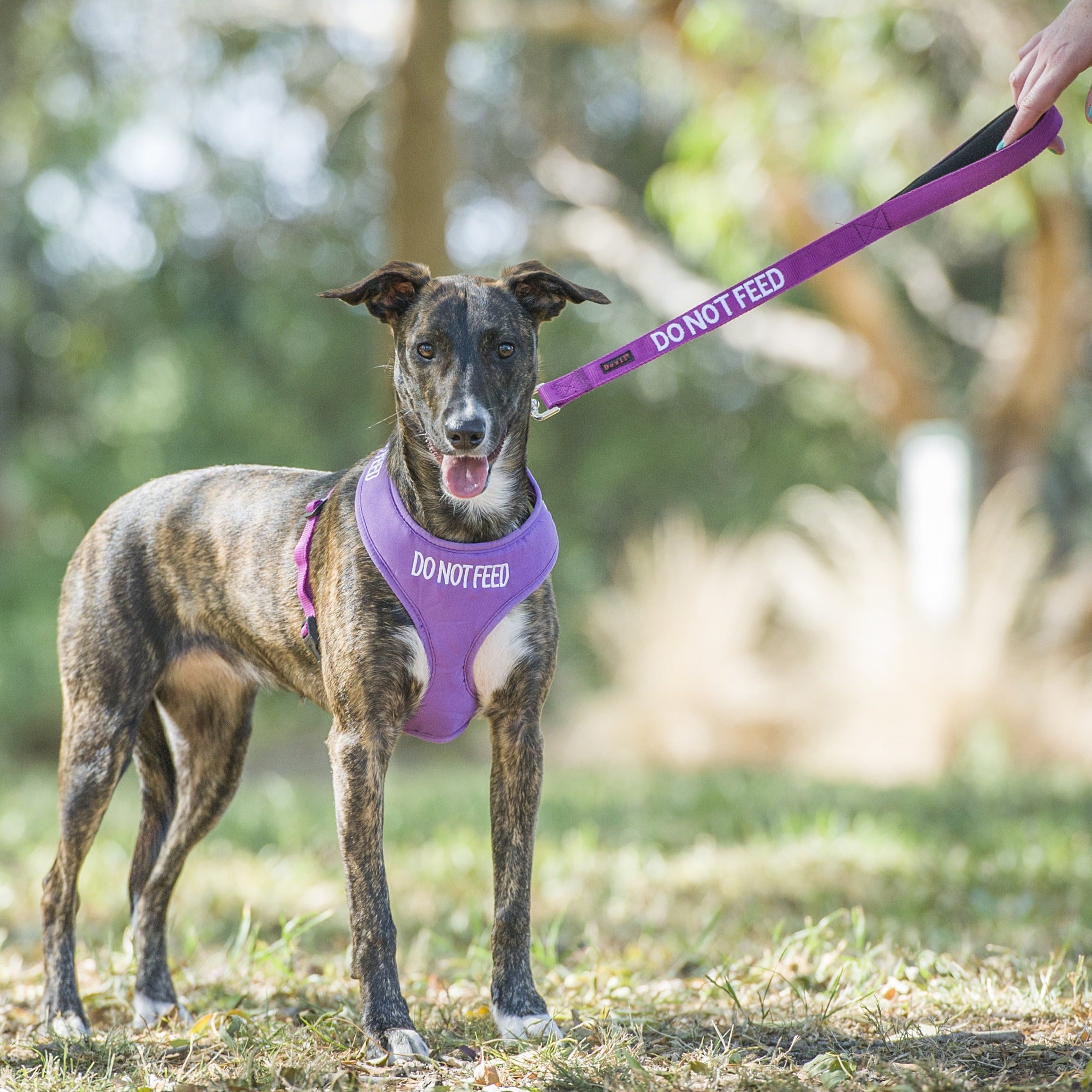 Dexil Friendly Dog Collars DO NOT FEED Large Vest Harness