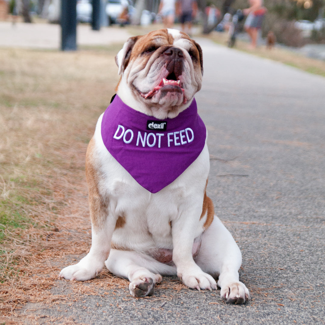 Dexil Friendly Dog Collars DO NOT FEED Dog Bandana