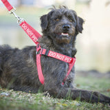 DO NOT PET - L/XL adjustable Strap Harness
