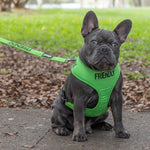 Friendly Dog Collars Green FRIENDLY Medium Vest Harness