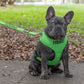 Friendly Dog Collars Green FRIENDLY Medium Vest Harness