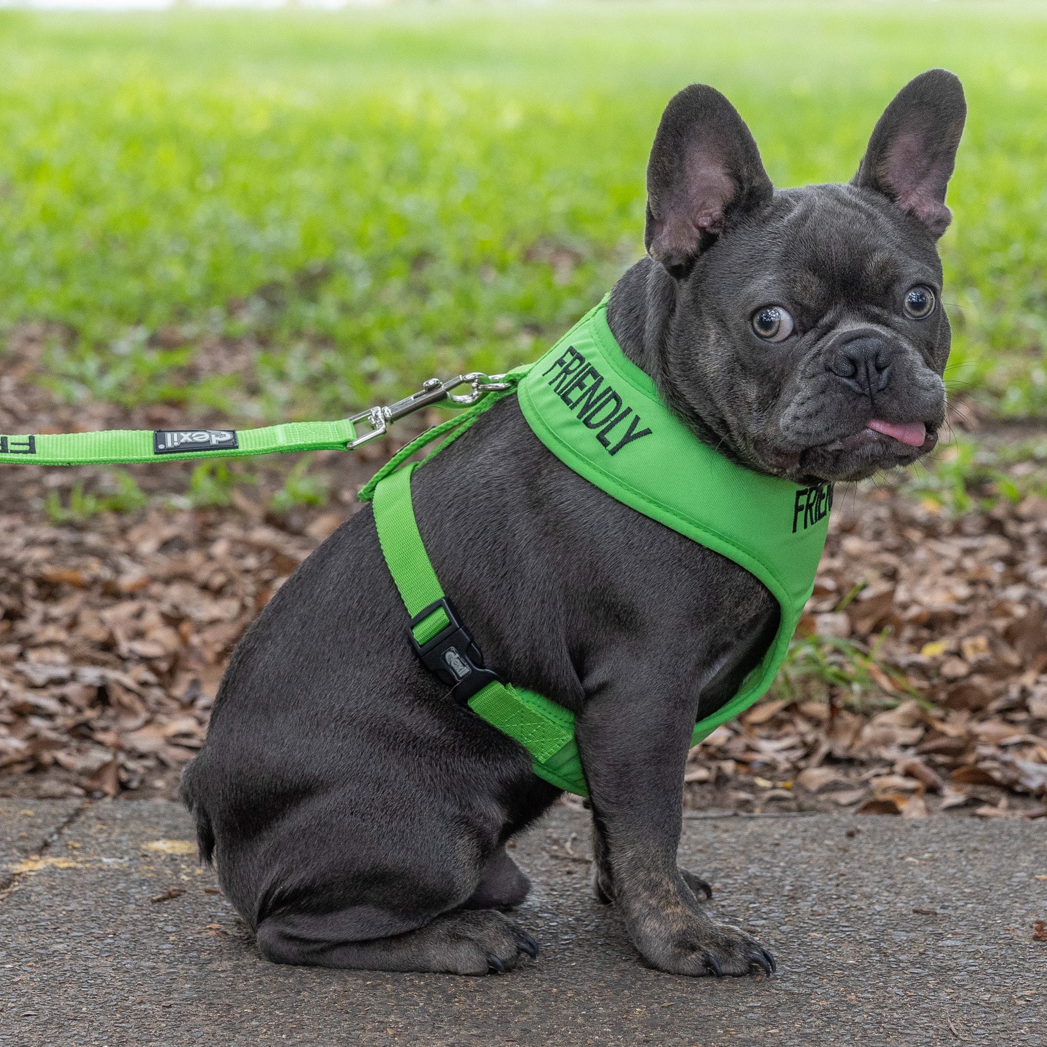 Friendly Dog Collars Green FRIENDLY Medium Vest Harness