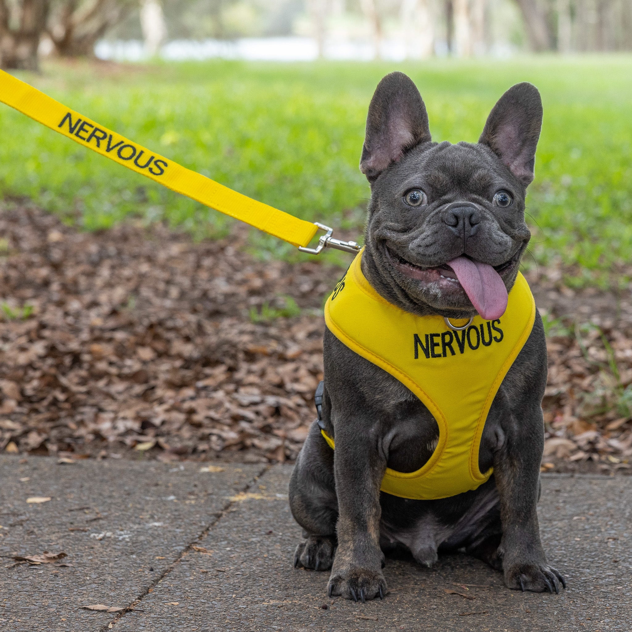 Dexil Friendly Dog Collars Yellow NERVOUS Medium adjustable Vest Harness