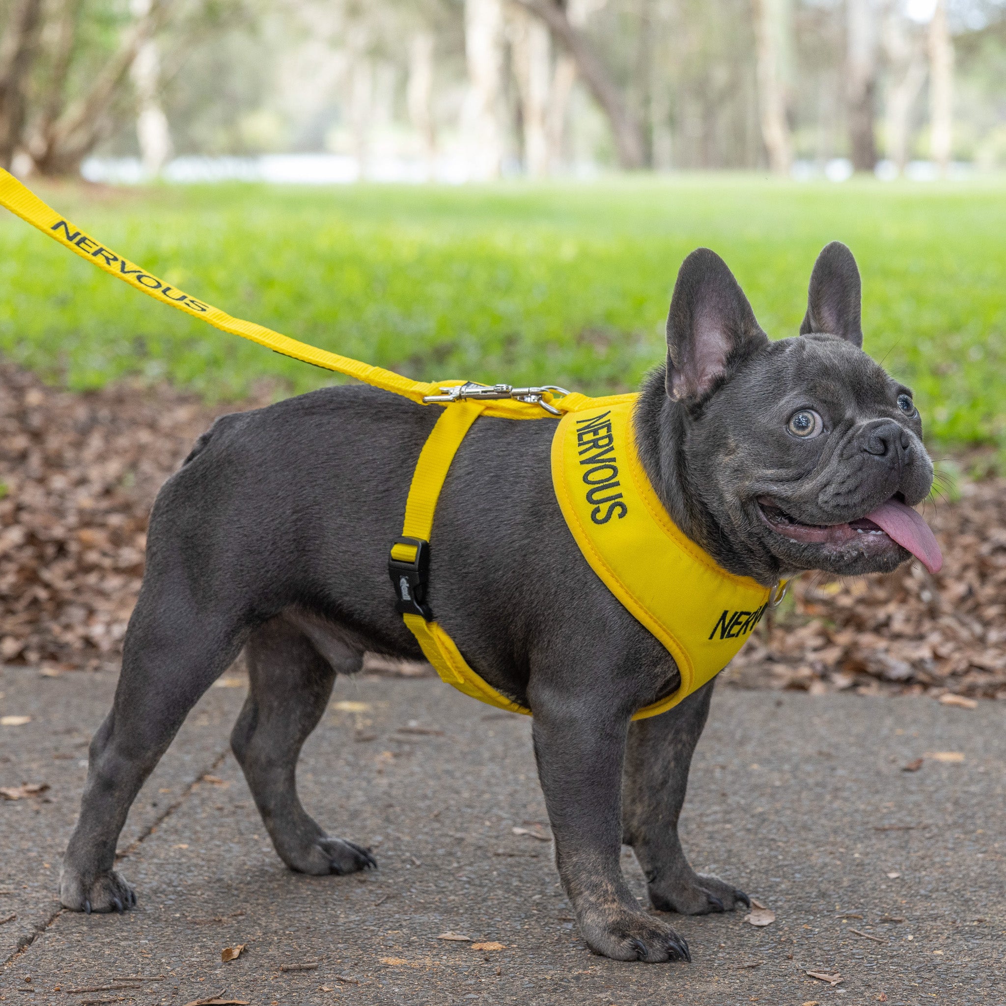 Dexil Friendly Dog Collars Yellow NERVOUS Medium adjustable Vest Harness