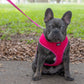 Dexil Friendly Dog Collars Pink Medium Vest Harness