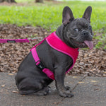 Dexil Friendly Dog Collars Pink Medium Vest Harness