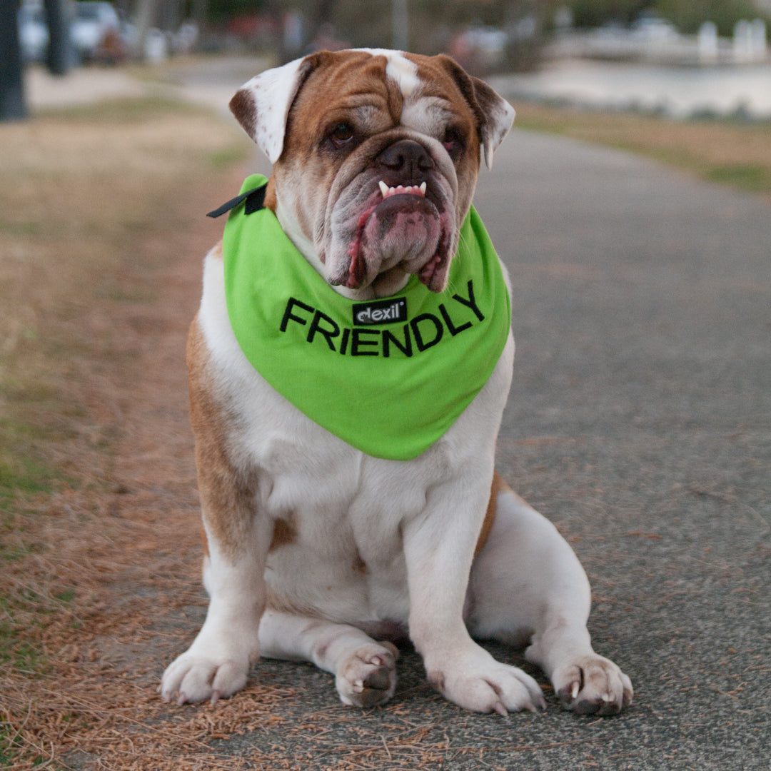 Friendly Dog Collars Green FRIENDLY Dog Bandana