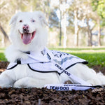 Dexil Friendly Dog Collars DEAF DOG Standard 120cm (4ft) Lead