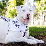 Dexil Friendly Dog Collars DEAF DOG Bandana