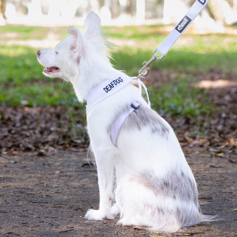 Dexil Friendly Dog Collars DEAF DOG XS adjustable Vest Harness